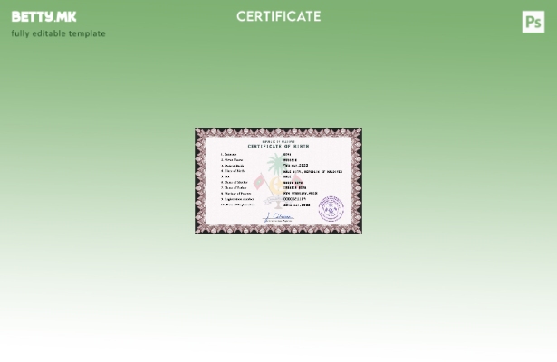 Модерен стил, шаблон за шаблон PSD од извод од матична книга на родените на Малд