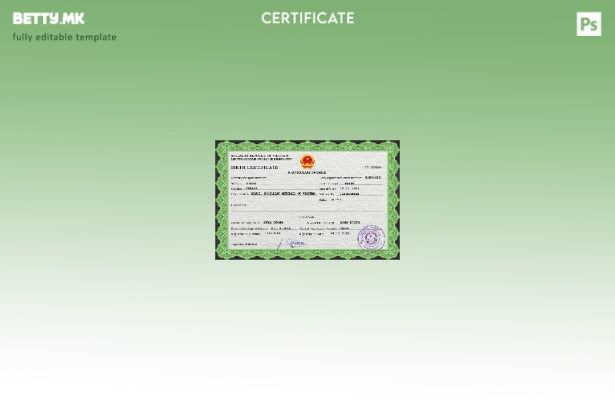 Модерен стил, шаблон за PSD извод од матична книга на родените Виетнам