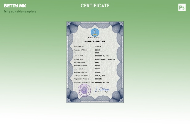 Модерен стил, шаблон за PSD извод од матичната книга на родените во Мали
