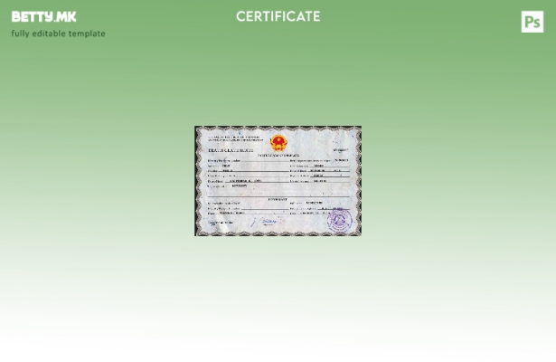 Модерен стил, шаблон за PSD сертификат за смрт на Виетнам