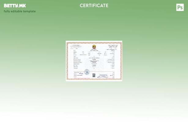 Уверение за смрт од Обединетите Арапски Емирати во модерен стил. Шаблон за екран