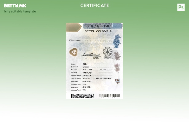 Шаблон за извод од матична книга на родените во модерен стил Канада Британска Ко