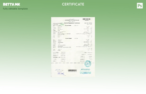 Шаблон за потврда за развод од Пакистан (Пенџаб) во модерен стил