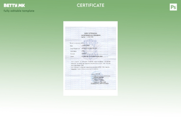 Шаблон за сертификат за возачи во модерен стил ИНДОНЕЗИЈА