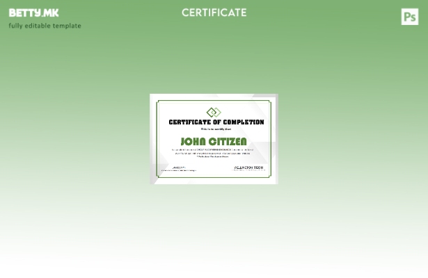 Шаблон за сертификат за искуство во САД во модерен стил