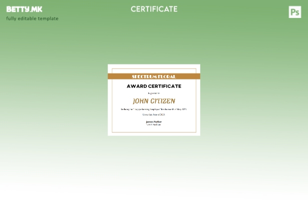 Шаблон за сертификат за награда од САД во модерен стил