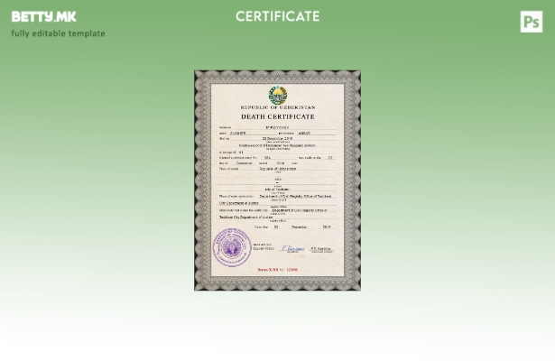 Шаблон за уверение за смрт од Узбекистан во модерен стил