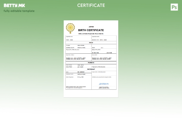 модерен стил Јапонски извод од матична книга на родени Шаблон Word и PDF, целосн