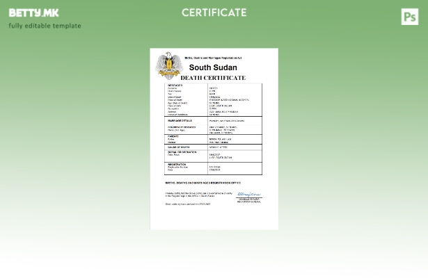 модерен стил Јужен Судан од витално значење за умрениот шаблон Word и PDF шаблон