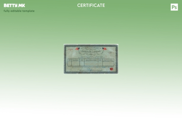 модерен стил Њу Јорк Регистар на витални статистики шаблон сертификат за усвојув