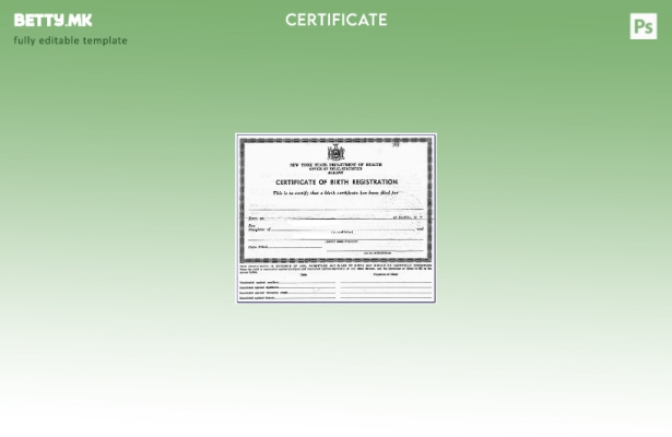 модерен стил Њујоршката канцеларија на Vital Statistics во Албани, шаблон за пот