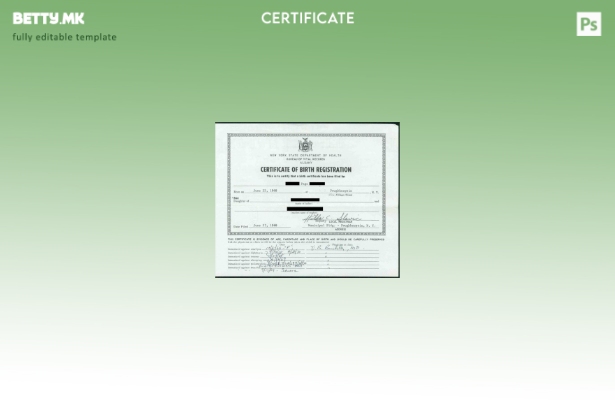 модерен стил Њујоршкото биро за витални записи на шаблонот за извод од матична к