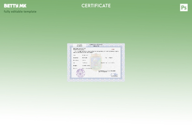 модерен стил Алжир од витално значење запис за смртен шаблон PSD шаблон