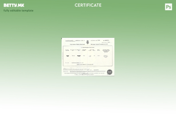 модерен стил Англија Шаблон за извод од матична книга на родените во општа регис