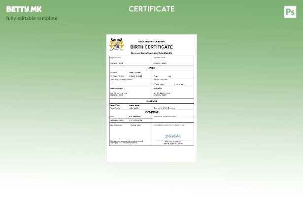 модерен стил Бенин извод од матична книга на родените Шаблон за Word и PDF