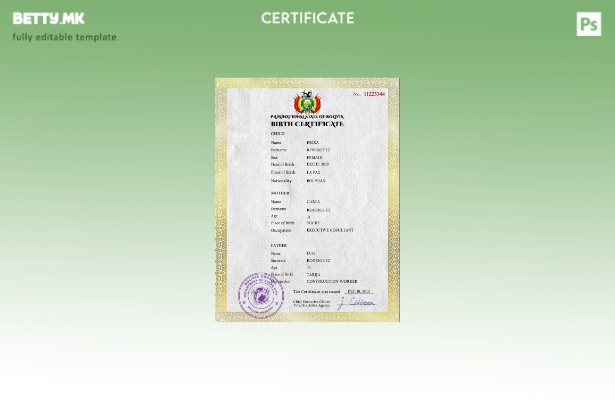 модерен стил Болија од витално значење за изводот од матичната книга на родените