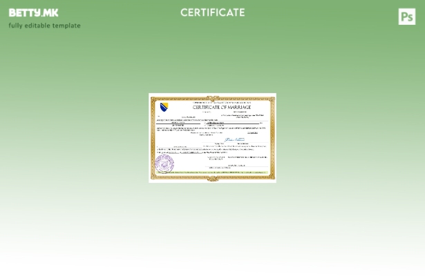 модерен стил Босна и Херцеговина шаблон за шаблон Word и PDF