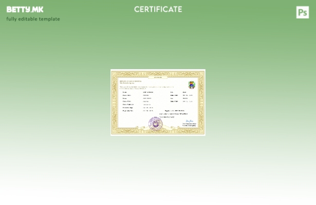 модерен стил Венецуела извод за брак Шаблон за Word и PDF