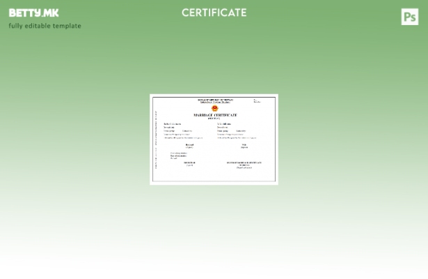 модерен стил Виетнам Матичната книга на венчани шаблон сертификат за брак