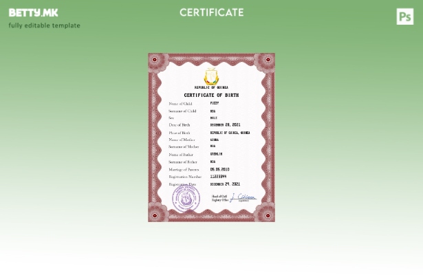 модерен стил Гвинеја од витално значење за извод од матична книга на родени шабл