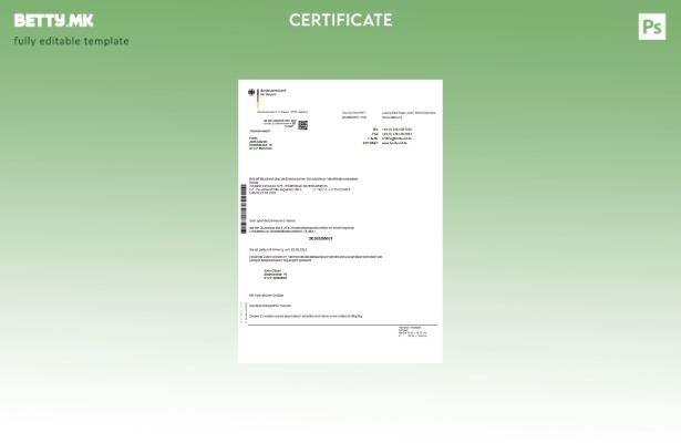 модерен стил Германија Bundeszentralamt für Steuem шаблон за Word и PDF шаблон с