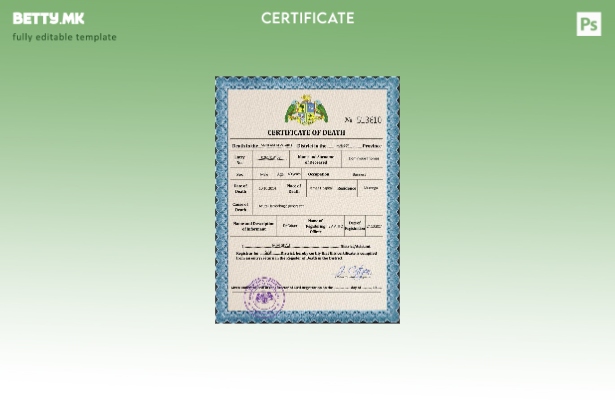 модерен стил Доминика витална евиденција за смртен шаблон PSD шаблон