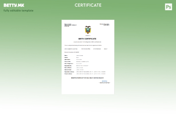 модерен стил Еквадор витален рекорд извод од матичната книга на родените Шаблон