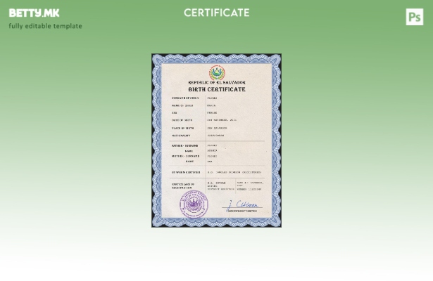 модерен стил Ел Салвадор витален евиденција извод од матична книга на родените