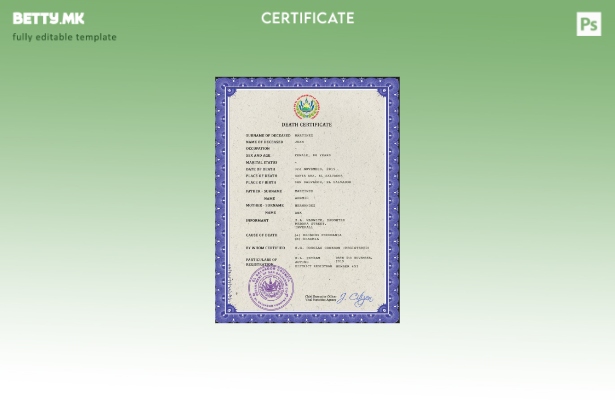 модерен стил Ел Салвадор од витално значење евиденција за смртен шаблон PSD шабл