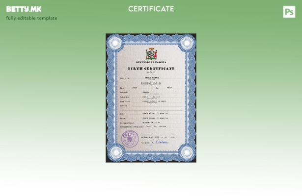 модерен стил Замбија витален рекорд извод од матичната книга на родените ПСД шаб