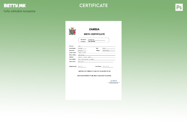 модерен стил Замбија извод од матична книга на родени Шаблон за Word и PDF