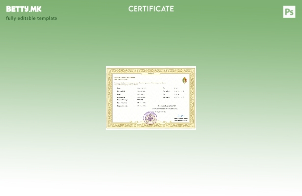 модерен стил Извод за брак во Етиопија Шаблон за Word и PDF