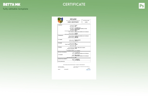 модерен стил Ирска од витално значење за евиденција за смртен шаблон Word и PDF