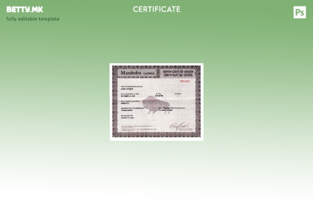 модерен стил Канада Витална статистика шаблон за Австралија за смрт на заминувањ