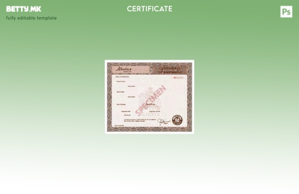 модерен стил Канада Секретарот за витална статистика шаблон за документи за брак