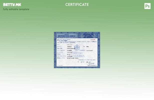 модерен стил Канадско Министерство за здравствено планирање шаблон извод од мати