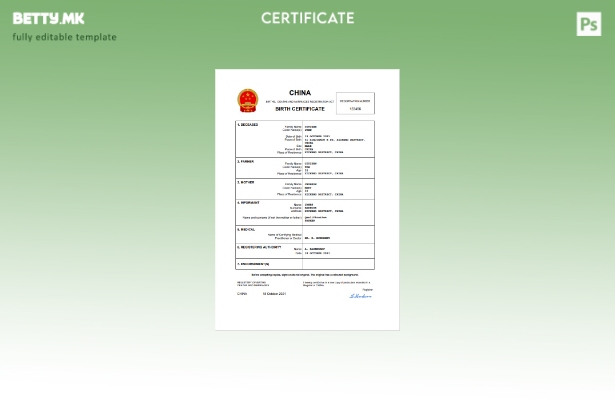 модерен стил Кина извод од матична книга на родени Шаблон Word и PDF шаблон