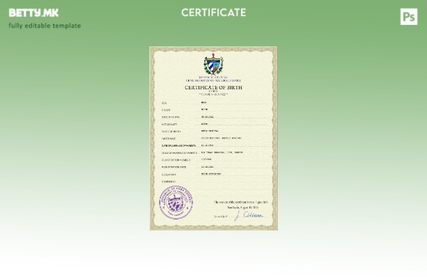 модерен стил Кубански шаблон за PSD извод од матична книга на родените