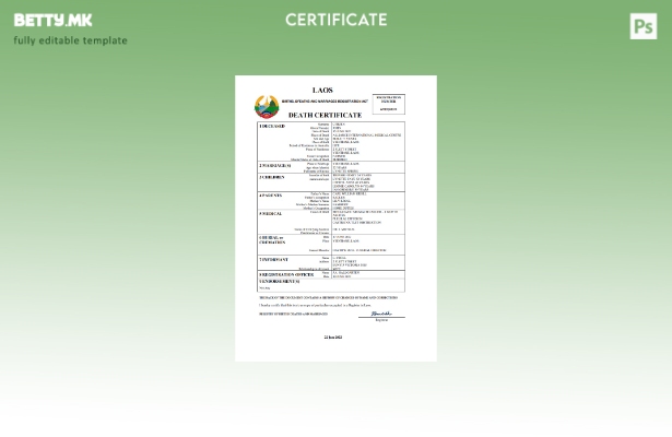 модерен стил Лаос витална евиденција за смртен шаблон Word и PDF шаблон
