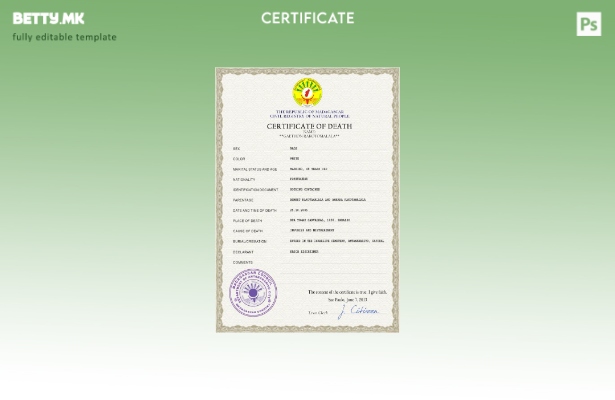 модерен стил Мадагаскар шаблон за PSD сертификат за смрт од витален рекорд