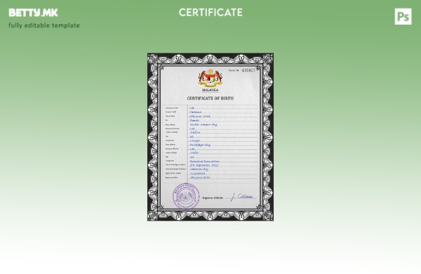 модерен стил Малезија витален рекорд извод од матична книга на родените ПСД ша