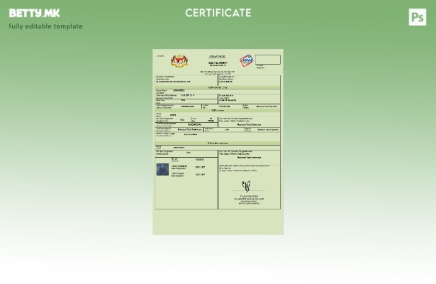 модерен стил Малезија извод од матична книга на родени Шаблон Word и PDF шаблон