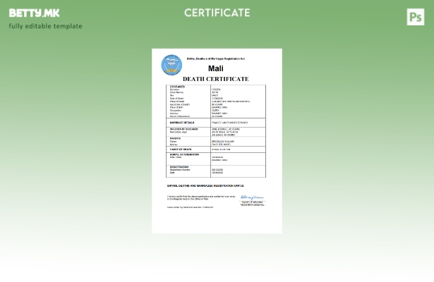 модерен стил Мали витален рекорд за смртен шаблон Word и PDF шаблон