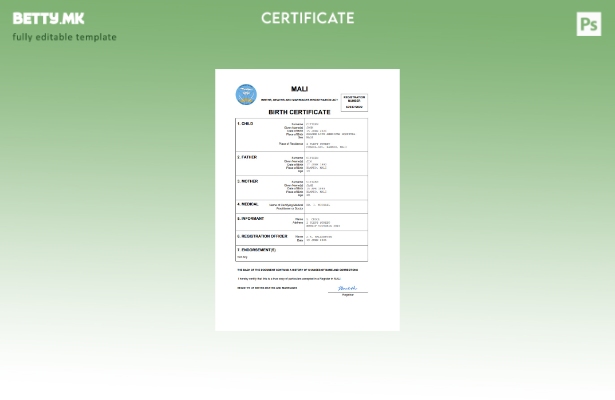 модерен стил Мали витален рекорд извод од матична книга на родени Шаблон за Word