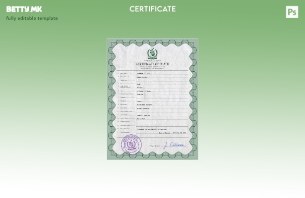 модерен стил Пакистански витален рекорд за смртен шаблон PSD шаблон