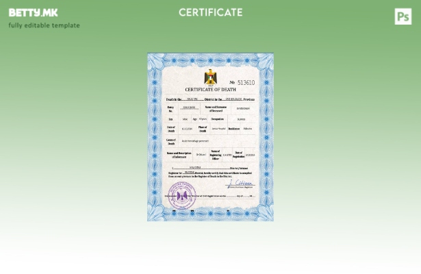 модерен стил Палестина витална евиденција за смртен шаблон PSD шаблон