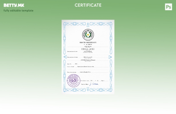 модерен стил Парагвајски шаблон за шаблон за PSD сертификат за смртен рекорд
