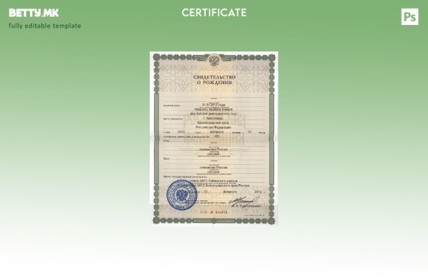 модерен стил Русија Лабински област образец извод од матична книга на родените