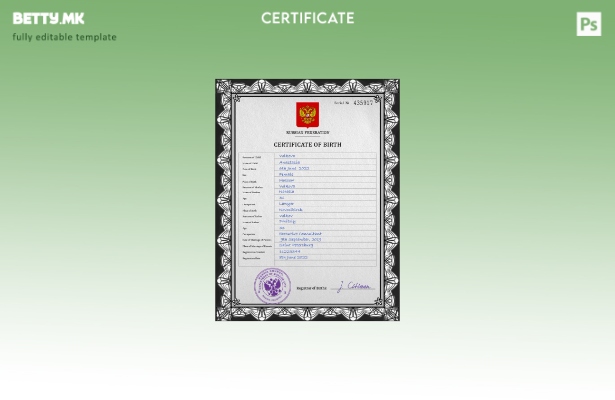 модерен стил Русија витален рекорд извод од матична книга на родените ПСД шаблон