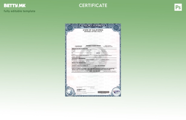 модерен стил САД Калифорнија Амандман на шаблон страници за евиденција за раѓање